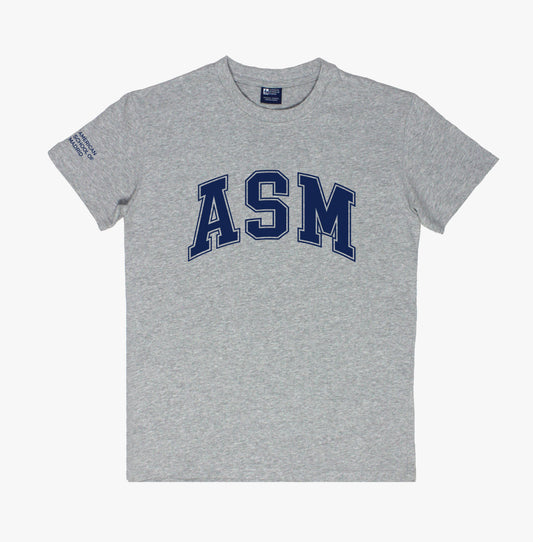 Camiseta Gris